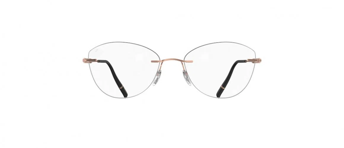 Silhouette The Timeless Visionary Demo Rimless 5603 Eyeglasses - view 50